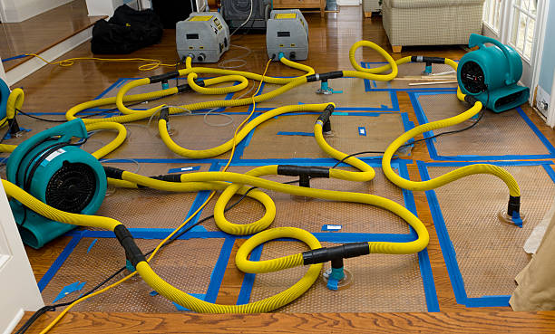 Professional Water Extraction technician working in Holloway, OH